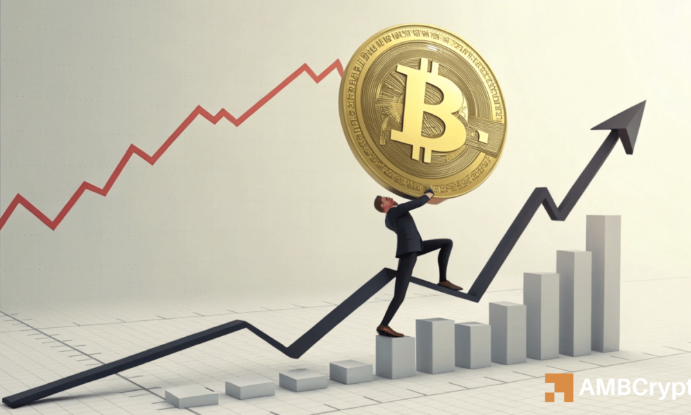What Information Can Bitcoin\