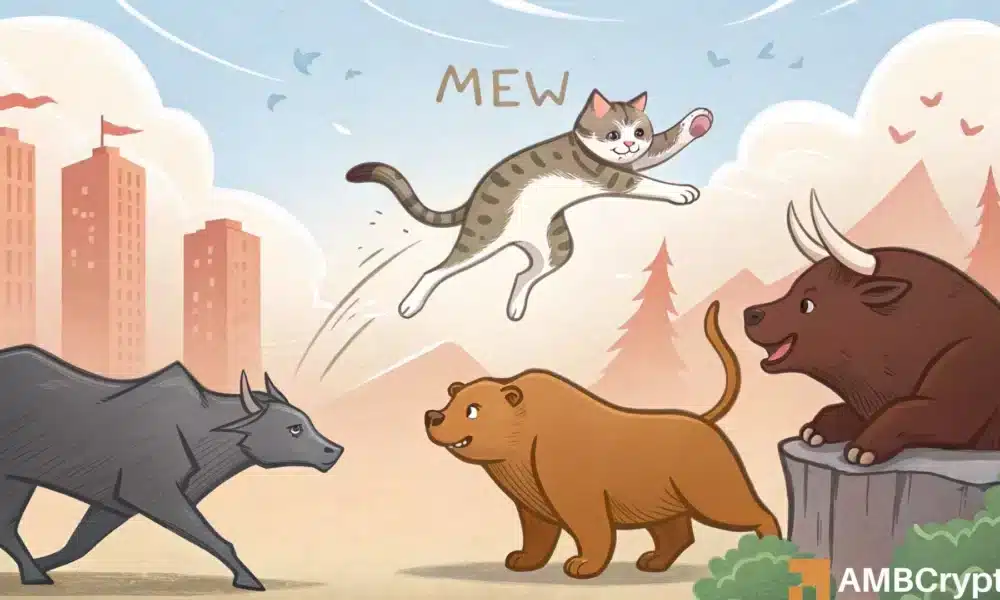 [MEW]猫狗世界面临回调风险：必须了解的事项