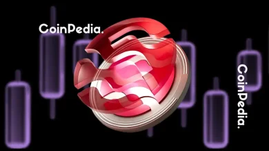 SEI价格大幅下跌：现在是增持还是卖出的好时机？