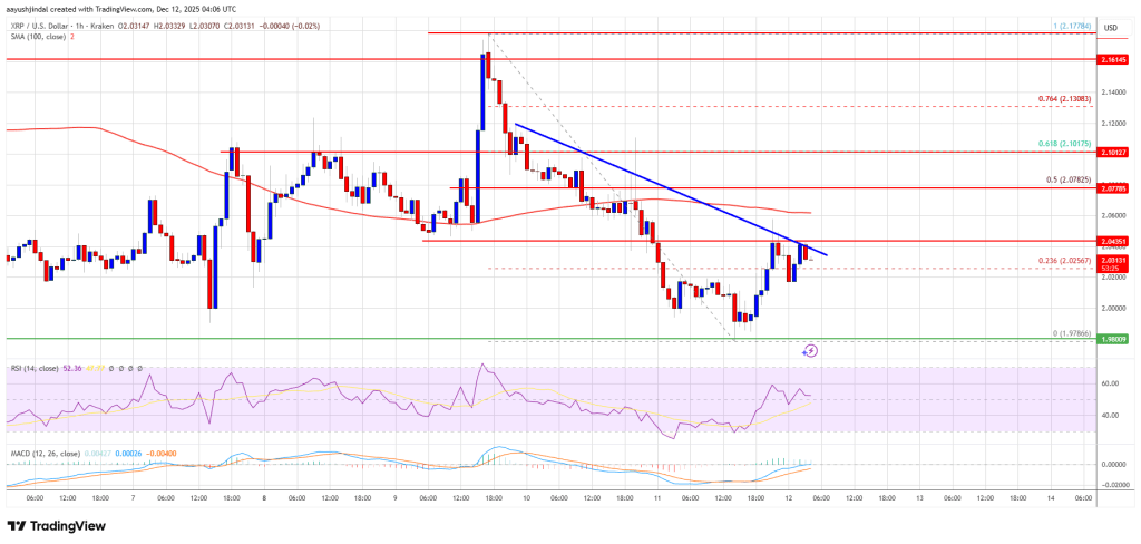 XRP价格面临阻力——将突破还是跌破？