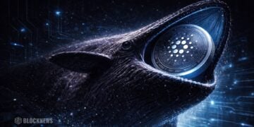 卡尔达诺大户增持2.1亿枚ADA，价格维持支撑——揭露结构所显示的信息